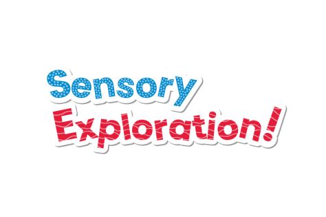 Sensory Exploration